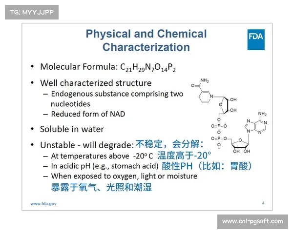 基于技能与时机组合的模型在比赛各阶段表现稳定性研究